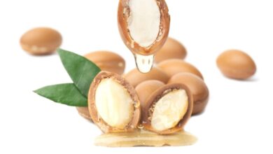 Argan Oil: Health Benefits, Uses, And Its Side Effects 63