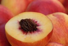 12 Surprising Health Benefits And Uses Of Peaches 28