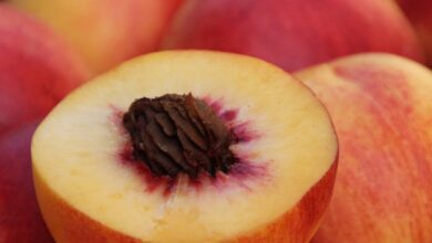 12 Surprising Health Benefits And Uses Of Peaches 62
