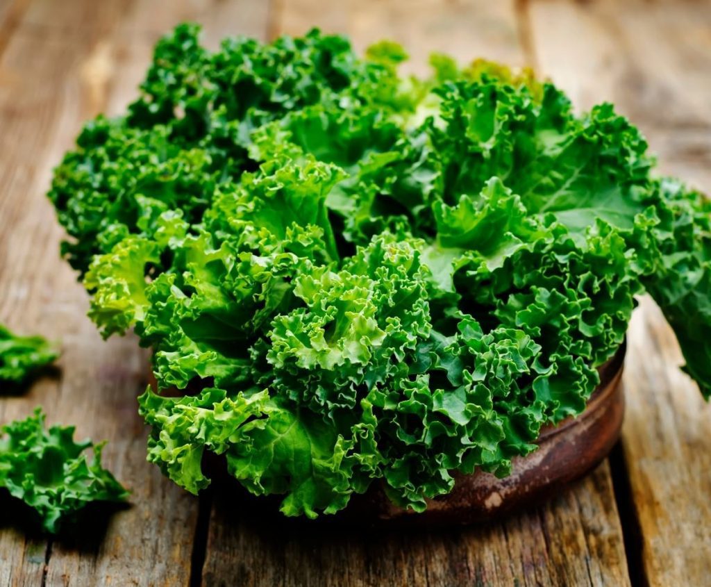 Top 5 Health Benefits Of Eating Kale 2
