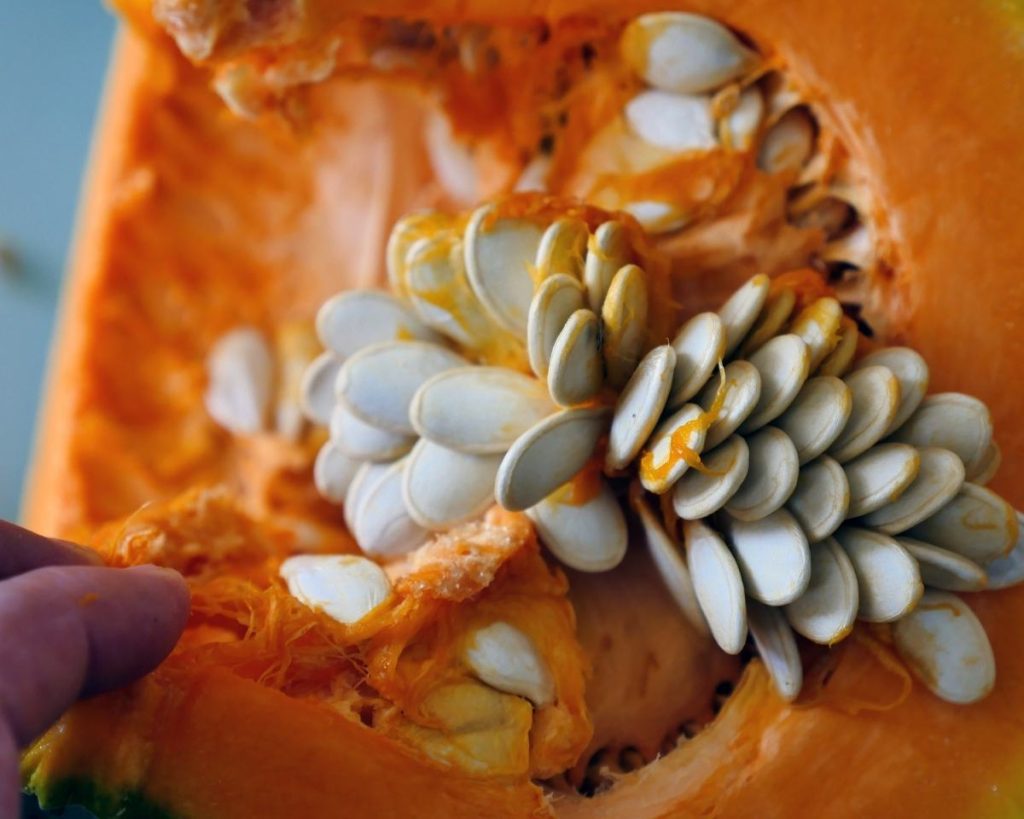 Top 10 Health Benefits Of Pumpkin Seeds 6