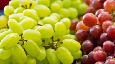 The Top 13 Health Benefits Of Grapes
