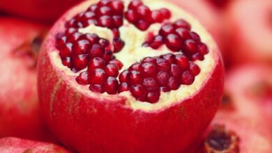 Top 10 Health Benefits Of Pomegranate 61
