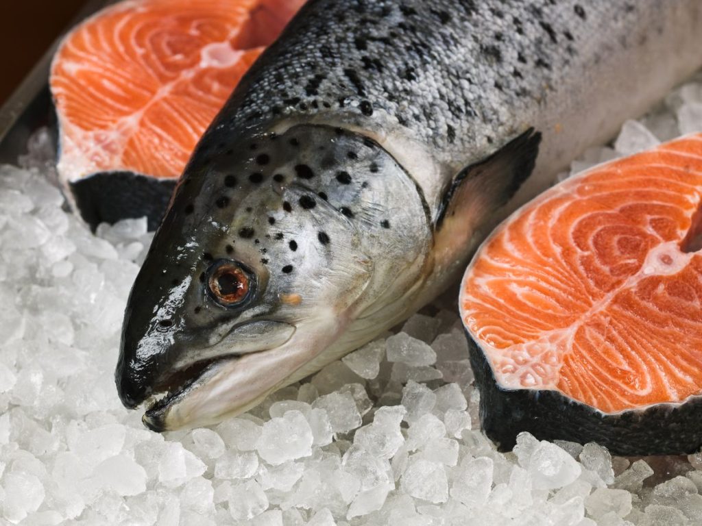 health Benefits of Salmon