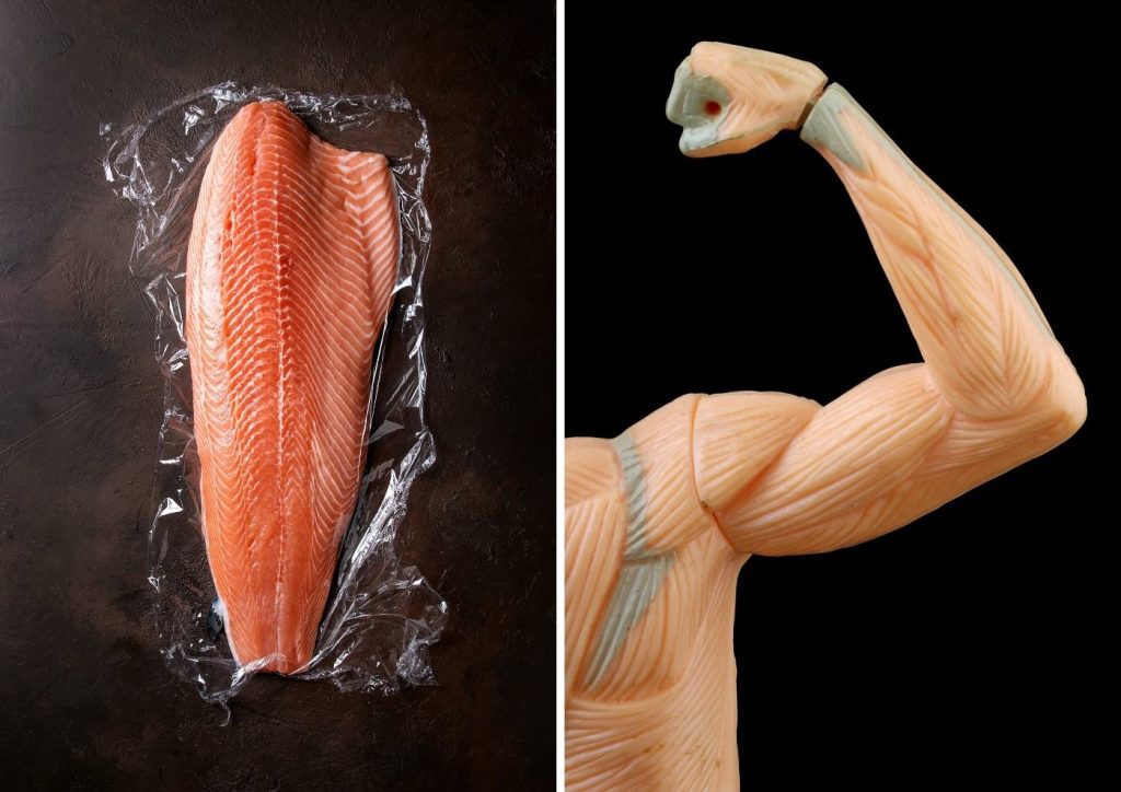 The Top 14 Reasons To Eat More Salmon 3