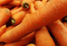 What Happens When You Start Eating Carrots Everyday 21
