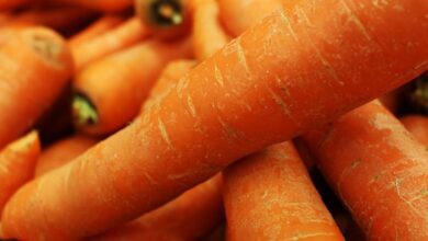 What Happens When You Start Eating Carrots Everyday 30