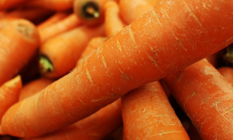 What Happens When You Start Eating Carrots Everyday 4