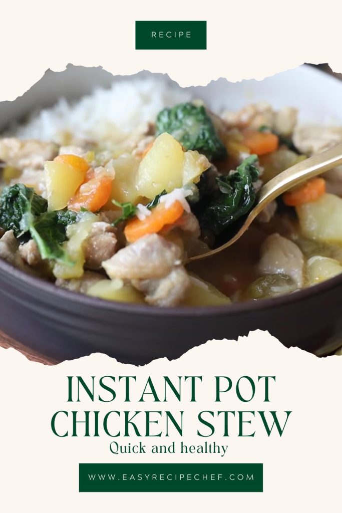 Easy Instant Pot Chicken Stew Recipe 1