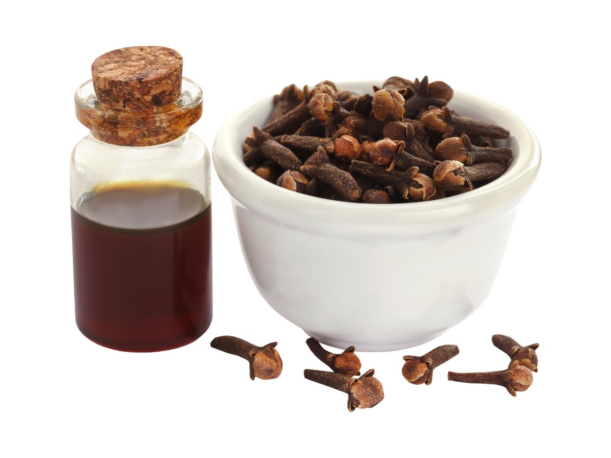 Health Benefits of Clove Water