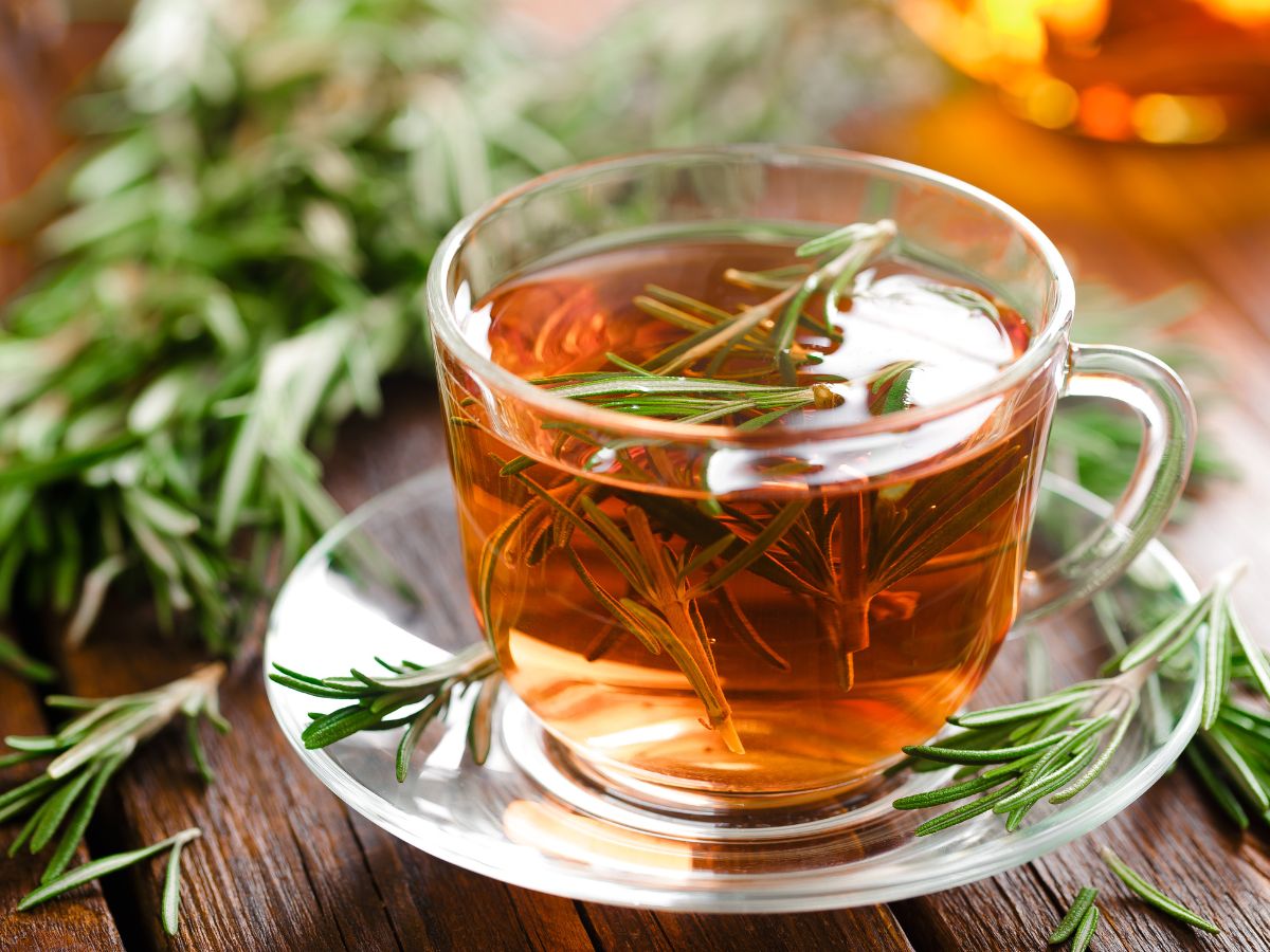 Health Benefits of Rosemary Tea