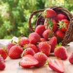 Health Benefits of Strawberries