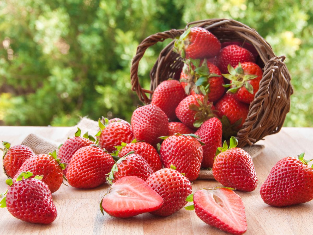 Health Benefits of Strawberries