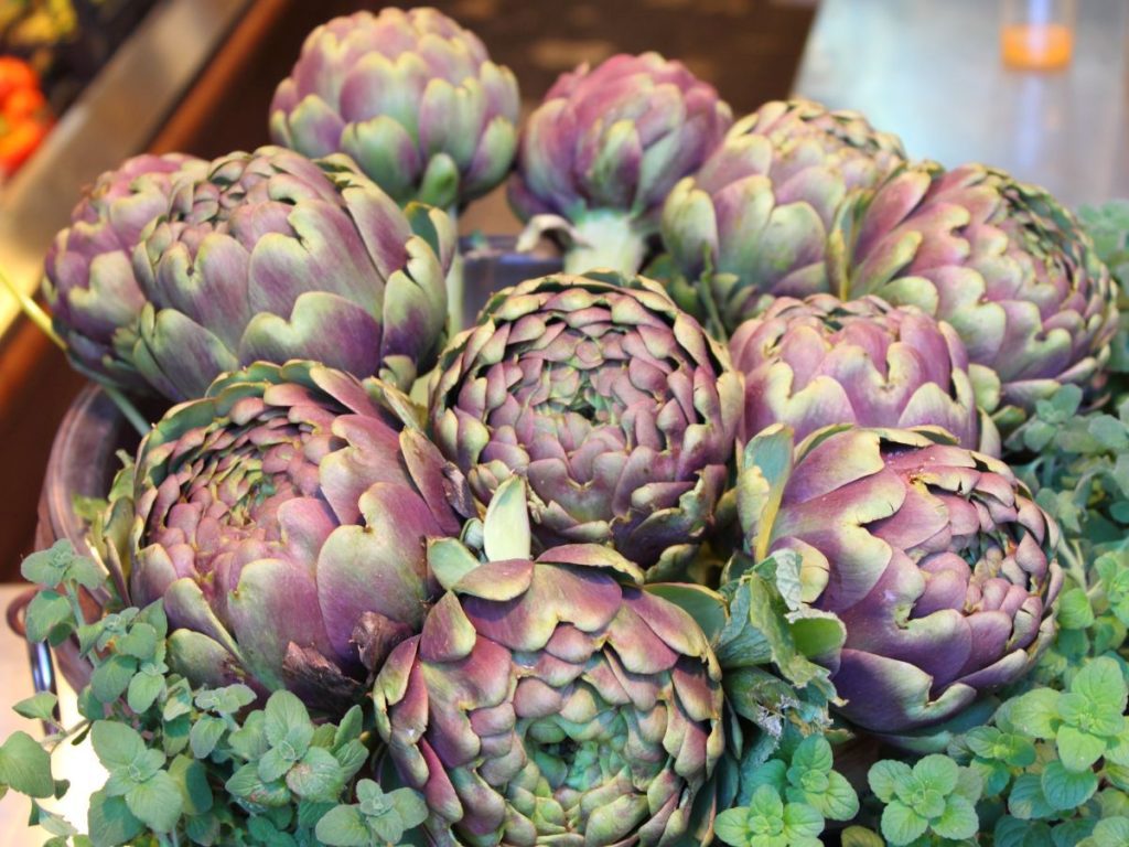 Health Benefits of Artichokes