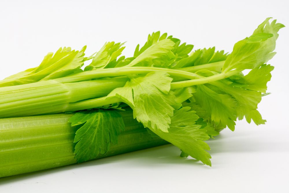 Benefits of Celery