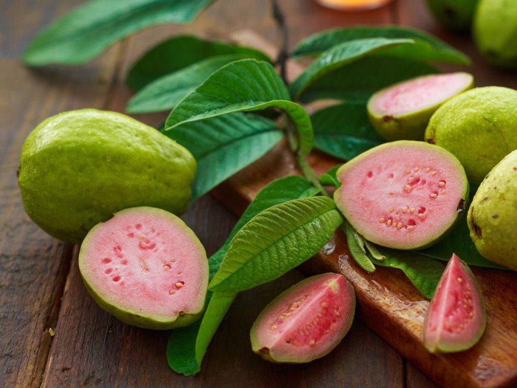 Benefits of Guava Leaves