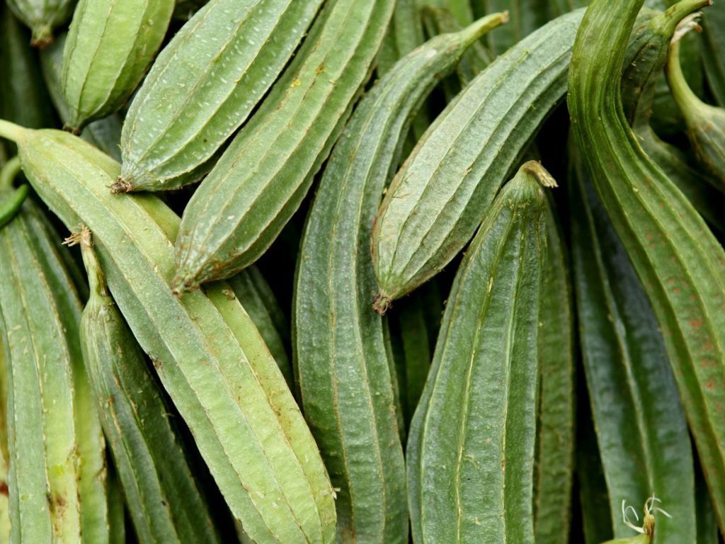 Benefits of Ridge Gourd