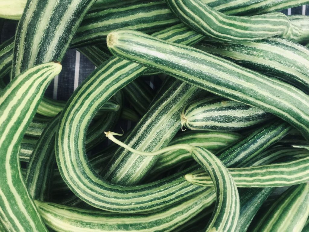 Benefits of Snake Gourd