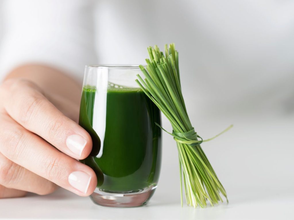 Benefits of Wheatgrass for Manage Blood Disorders