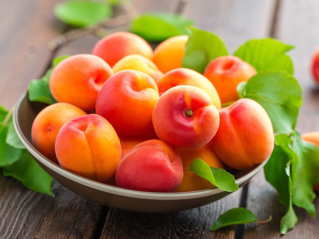 Health Benefits of Apricots