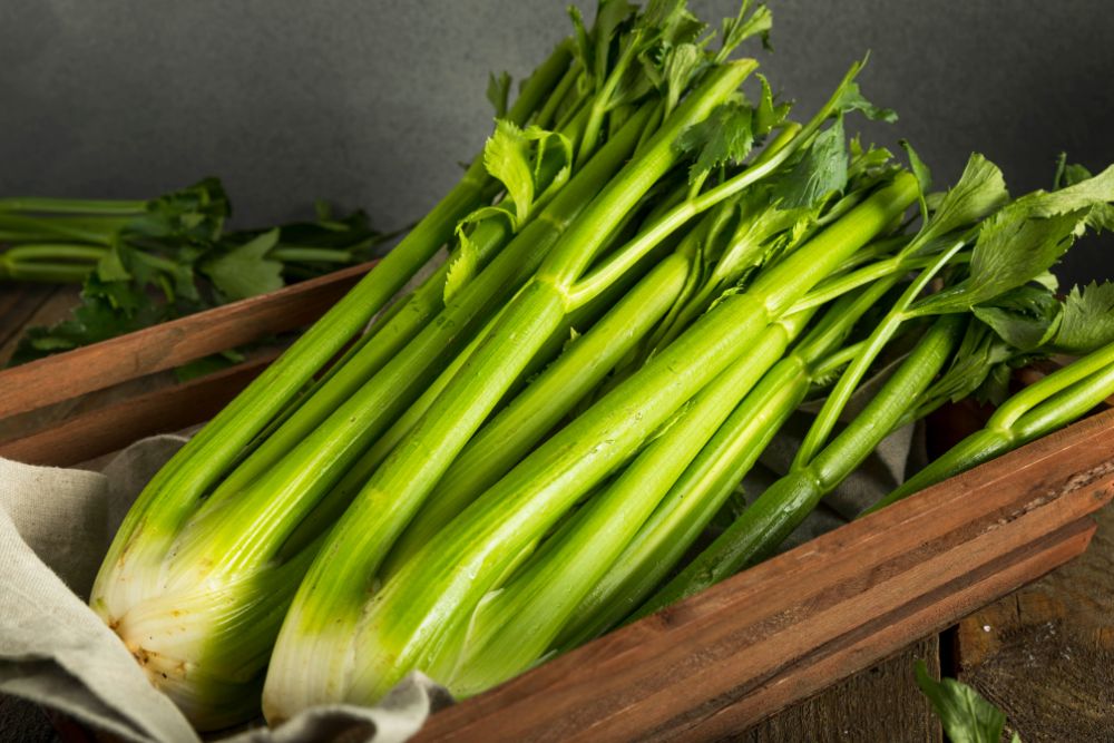 Health Benefits of Celery