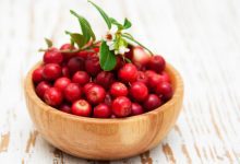 Health Benefits of Cranberries