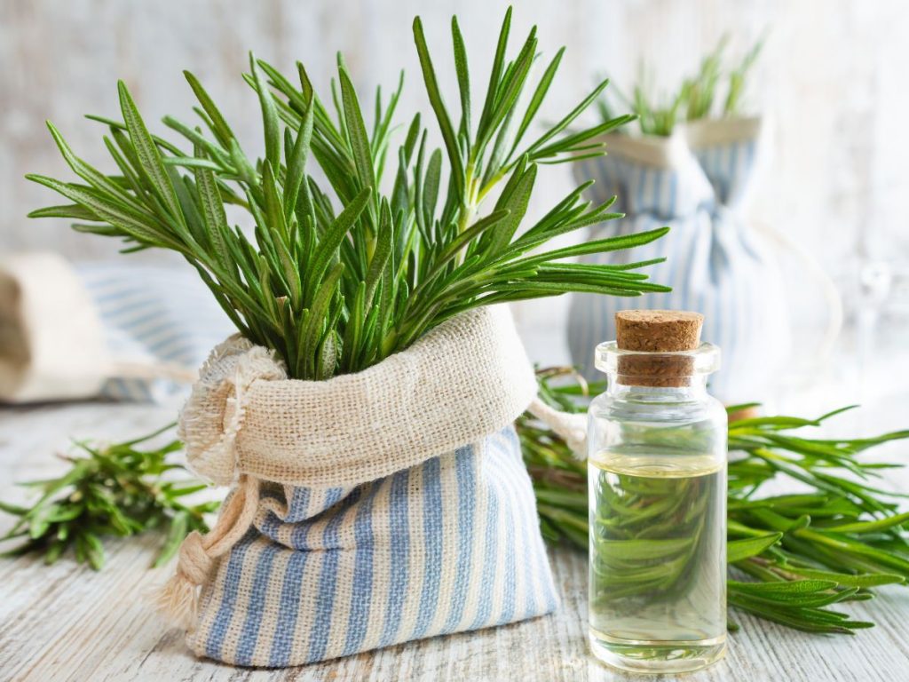 Health Benefits of Rosemary