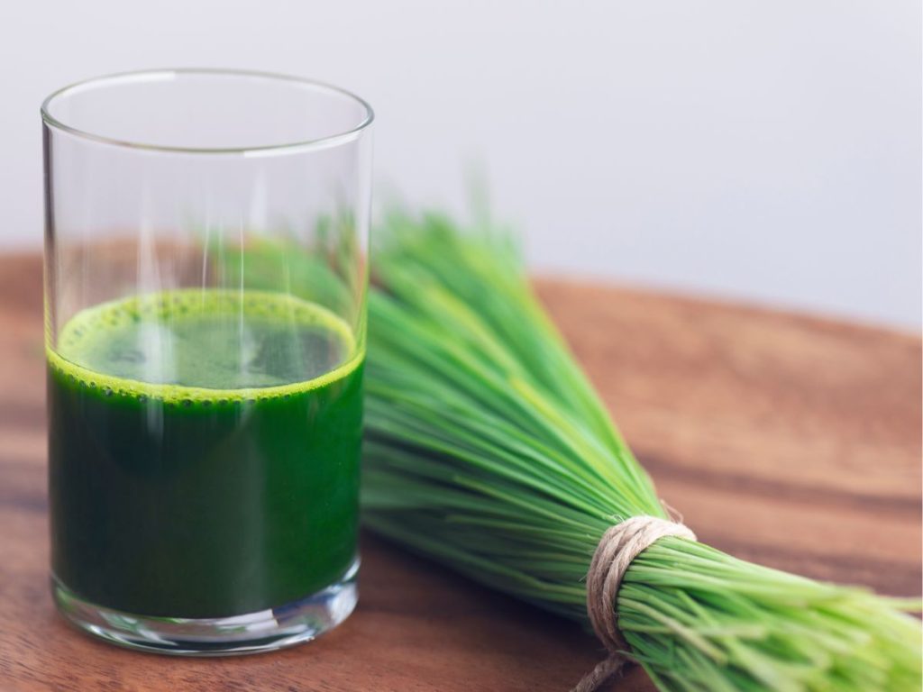 Health Benefits of Wheatgrass