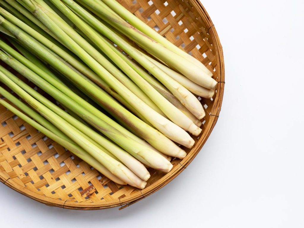 Lemongrass Tea benefits for Weight Management