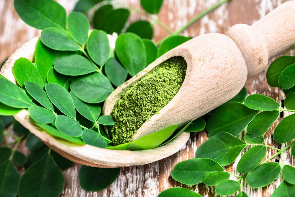 What Is Moringa