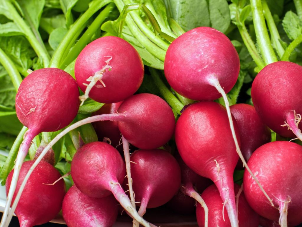 health benefits of radishes