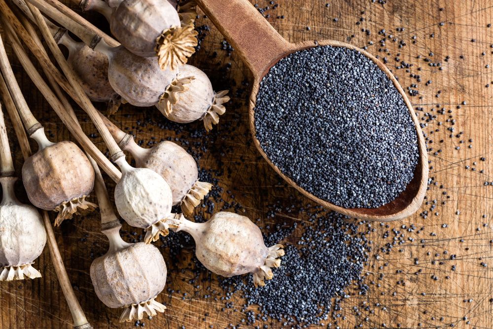 benefits of poppy seeds